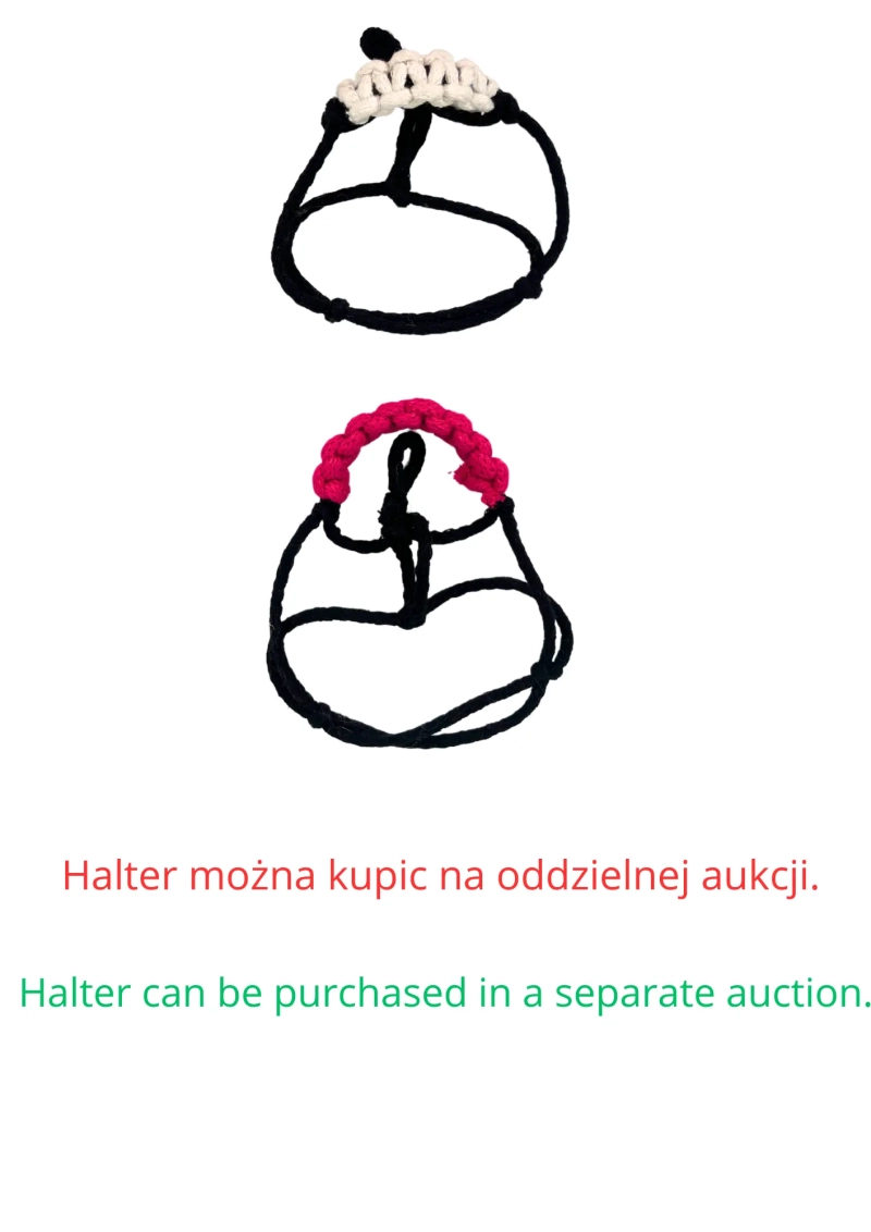 AKCESORIA - ZESTAW 4-RECH SZTUK WODZY dla baby horse MINI