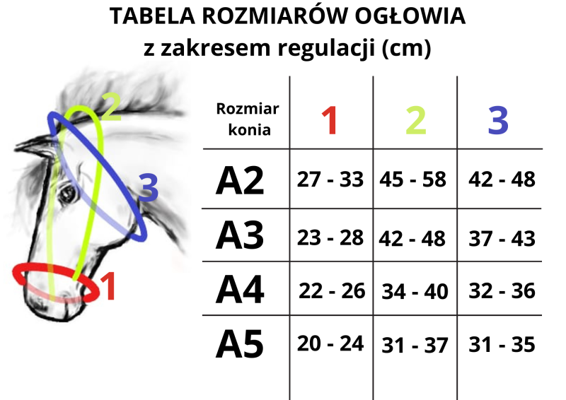 OGŁOWIE HACKAMORE