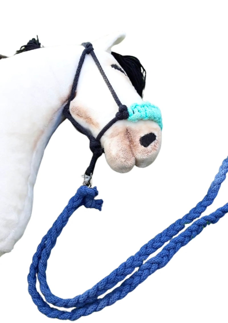Halter plus wodze