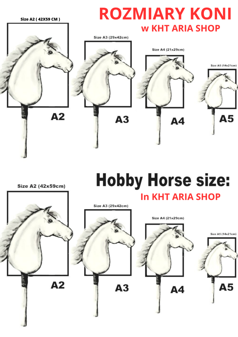 UJEŻDŻENIOWY hobby horse - KARY A3