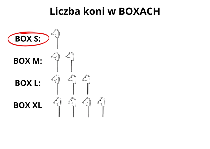 BOX S ( na 1 konia ) – ROZMIAR A5