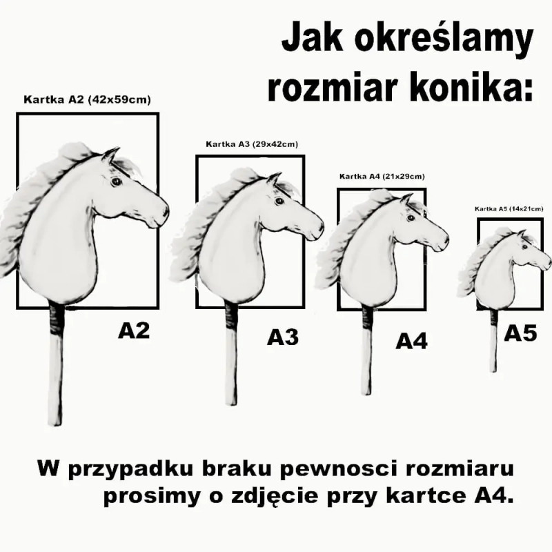 SUPER BOKSIK z super akcesoriami