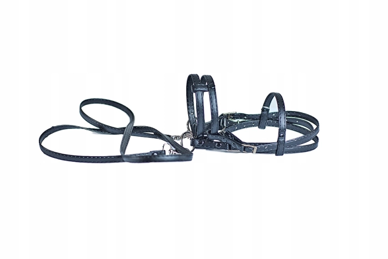 ZESTAW AKCESORIÓW - 6 ELEMENTÓW (derka, nauszniki, ogłowie, wodze, 3 naczółki, 10 charmsów ) - RÓŻNE KOLORY DO WYBORU