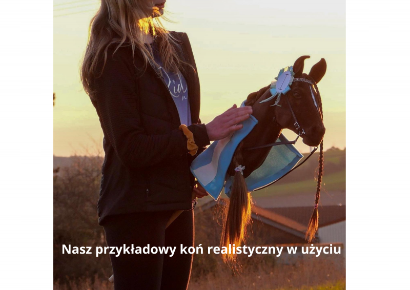 REALISTYCZNY HOBBY HORSE – CIEMNY KASZTAN/CZARNA