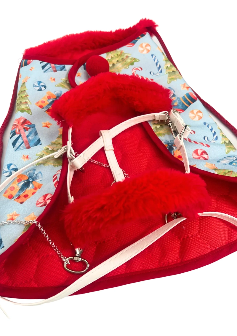 ŚwiętoPAK realistik - zestaw nr 2