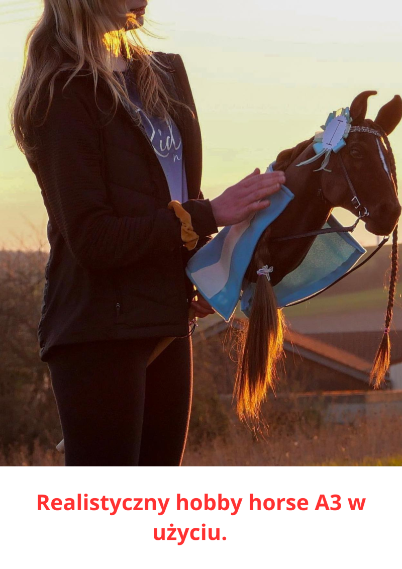 REALISTYCZNY HOBBY HORSE – GNIADOSROKATY/CZARNO-BIAŁA GRZYWA/ŁATKI