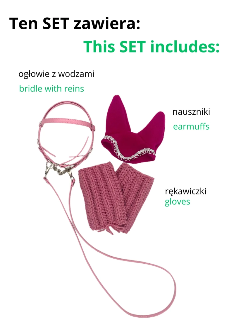SET UJEŻDŻENIOWY