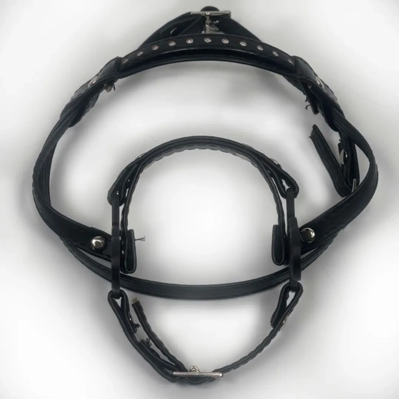 OGŁOWIE HACKAMORE
