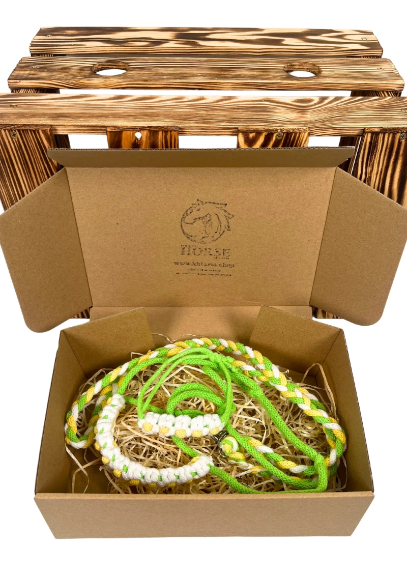 ZESTAW STOKROTKA – halter, wodze, bransoletka