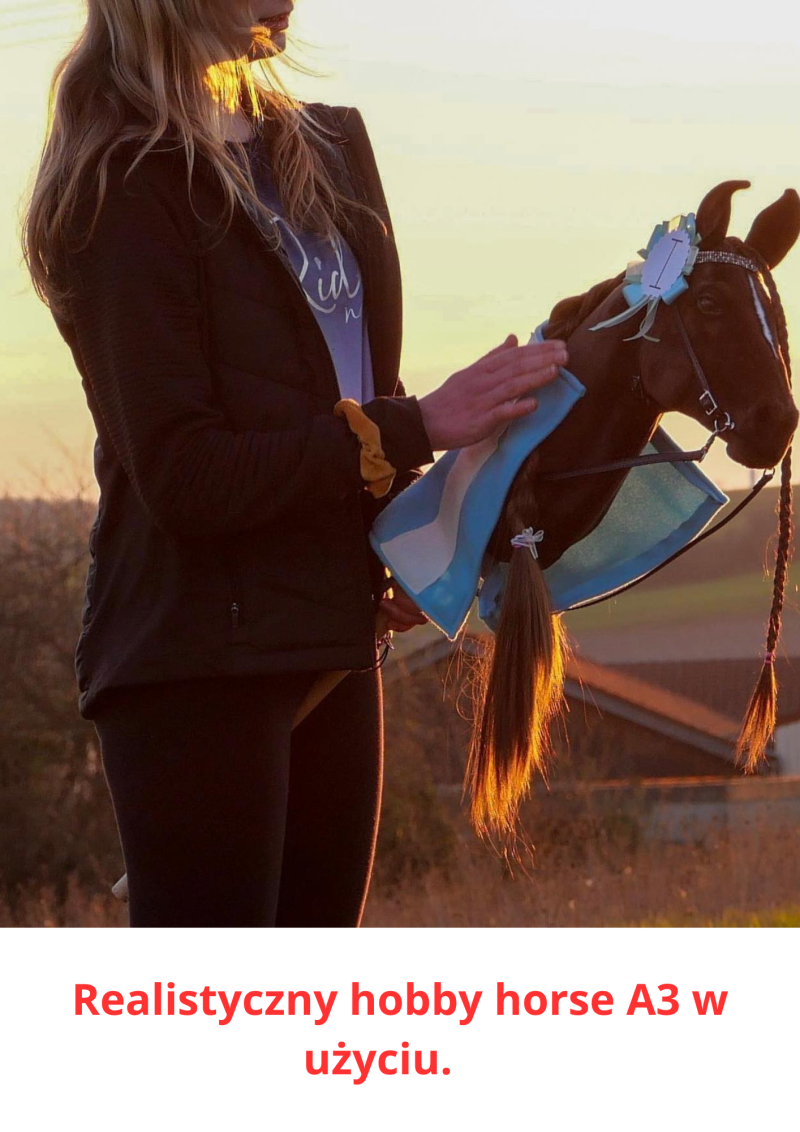 UJEŻDŻENIOWY REALISTYCZNY HOBBY HORSE A3 – KARY