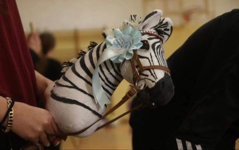 Pakiet startowy ZAWODY hobby horse ZOOPARK LUBLIN 14-15.03.2026