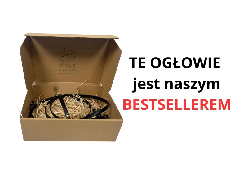 OGŁOWIE WESTERNOWE