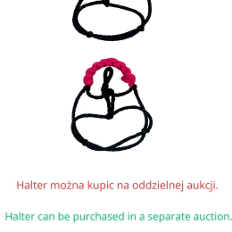 AKCESORIA - ZESTAW 4-RECH SZTUK WODZY dla baby horse MINI