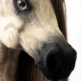 REALISTYCZNY HOBBY HORSE –PIASKOWY KOŃ ARABSKI - CENA NA START ważna do 19.04 włącznie