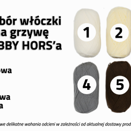 KALENDARZ ADWENTOWY 24 okienka z hobby horse