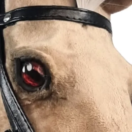 OKAZJA - REALISTYCZNY HOBBY HORSE – FIORD A3/ drobna wada