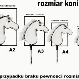 Cordeo z plecionką