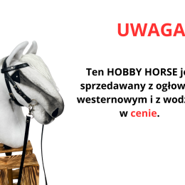 HOBBY HORSE VIP – HANOVER A2-A5