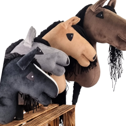 LOSOWY HOBBY HORSE – PROMOCYJNY A2-A5
