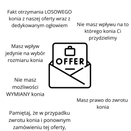 LOSOWY koń realistyczny z naszej oferty
