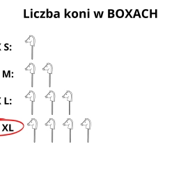 BOX XL ( na 4 konie ) – ROZMIAR A4