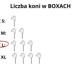 BOX L - ROZMIAR A3