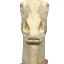 Głowa dla realistycznego konia hobby horse A4/A3