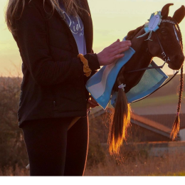 REALISTYCZNY HOBBY HORSE – GNIADOSROKATY/CZARNO-BIAŁA GRZYWA/ŁATKI