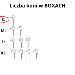 BOX S ( na 1 konia ) – ROZMIAR A2