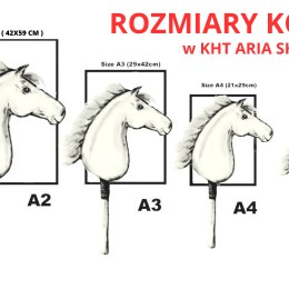 WYSYŁKA NATYCHMIASTOWA - Zestaw 19 - hobby horse A4z krótkim kijem ( szary, biała grzywa ) ze sweterkiem, ogłowiem i lonżą