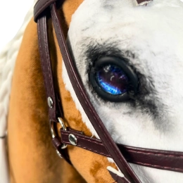 REALISTYCZNY HOBBY HORSE – PALOMINO - BIAŁY/BIAŁA