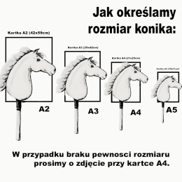 Kolorowe ogłowie westernowe z wodzami