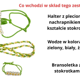 ZESTAW STOKROTKA – halter, wodze, bransoletka