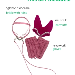 SET UJEŻDŻENIOWY