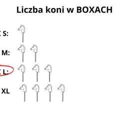 BOX L  ( na 3 konie ) – ROZMIAR A5