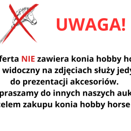 Charmsy dla hobby horse - zestaw walentynkowy MIŁOŚĆ