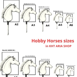 HOBBY HORSE PREMIUM – KASZTANOWATY Z IROKEZEM A2-A6