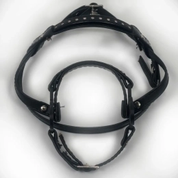OGŁOWIE HACKAMORE