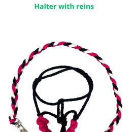 AKCESORIA - HALTER (Z MOŻLIWOŚCIĄ DODANIA WODZY) dla baby horse MINi