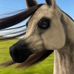 REALISTYCZNY HOBBY HORSE –PIASKOWY KOŃ ARABSKI - CENA NA START ważna do 19.04 włącznie