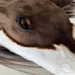 REALISTYCZNY HOBBY HORSE – AMERICAN PAINT HORSE