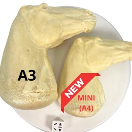 OKAZJA - REALISTYCZNY HOBBY HORSE – FIORD A3/ drobna wada