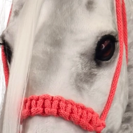 Halter z wodzami dla hobby horse realistik