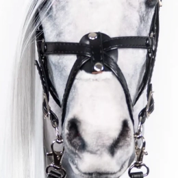 OGŁOWIE MEKSYKAŃSKIE DLA HOBBY HORSE REALISTIC