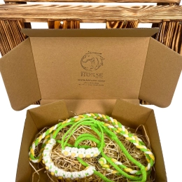 ZESTAW STOKROTKA – halter, wodze, bransoletka