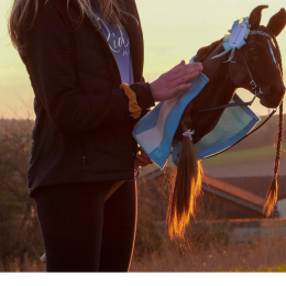 UJEŻDŻENIOWY REALISTYCZNY HOBBY HORSE A3 – KARY