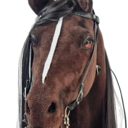REALISTYCZNY HOBBY HORSE – CIEMNY KASZTAN/CZARNA/ŁATKA