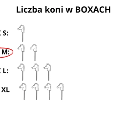 BOX M ( na 2 konie ) – ROZMIAR A3