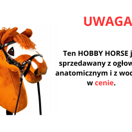 HOBBY HORSE PREMIUM – KASZTANOWATY Z IROKEZEM A2-A5