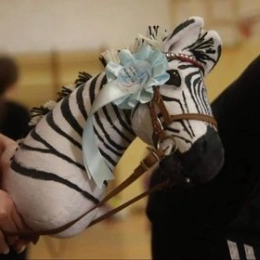 Pakiet startowy ZAWODY hobby horse ZOOPARK LUBLIN 14-15.03.2026